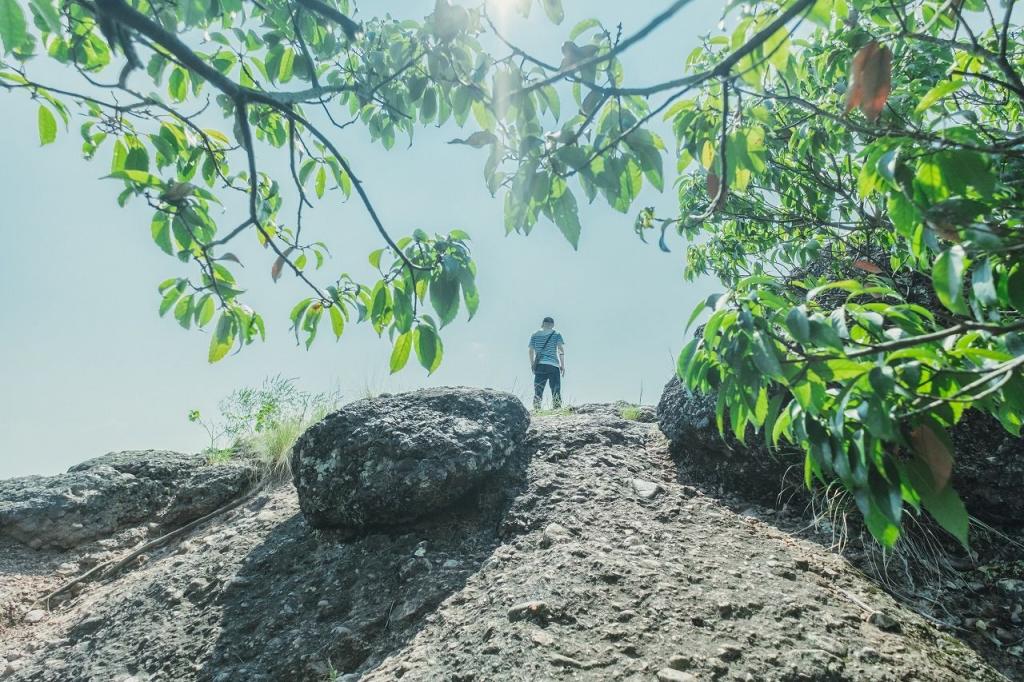 写真：登り切った先に見える景色