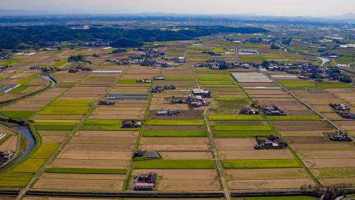 画像：菊池川流域の条里跡、区画割