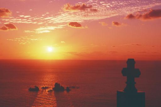 天草の代表画像