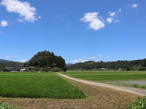 雨宮の森