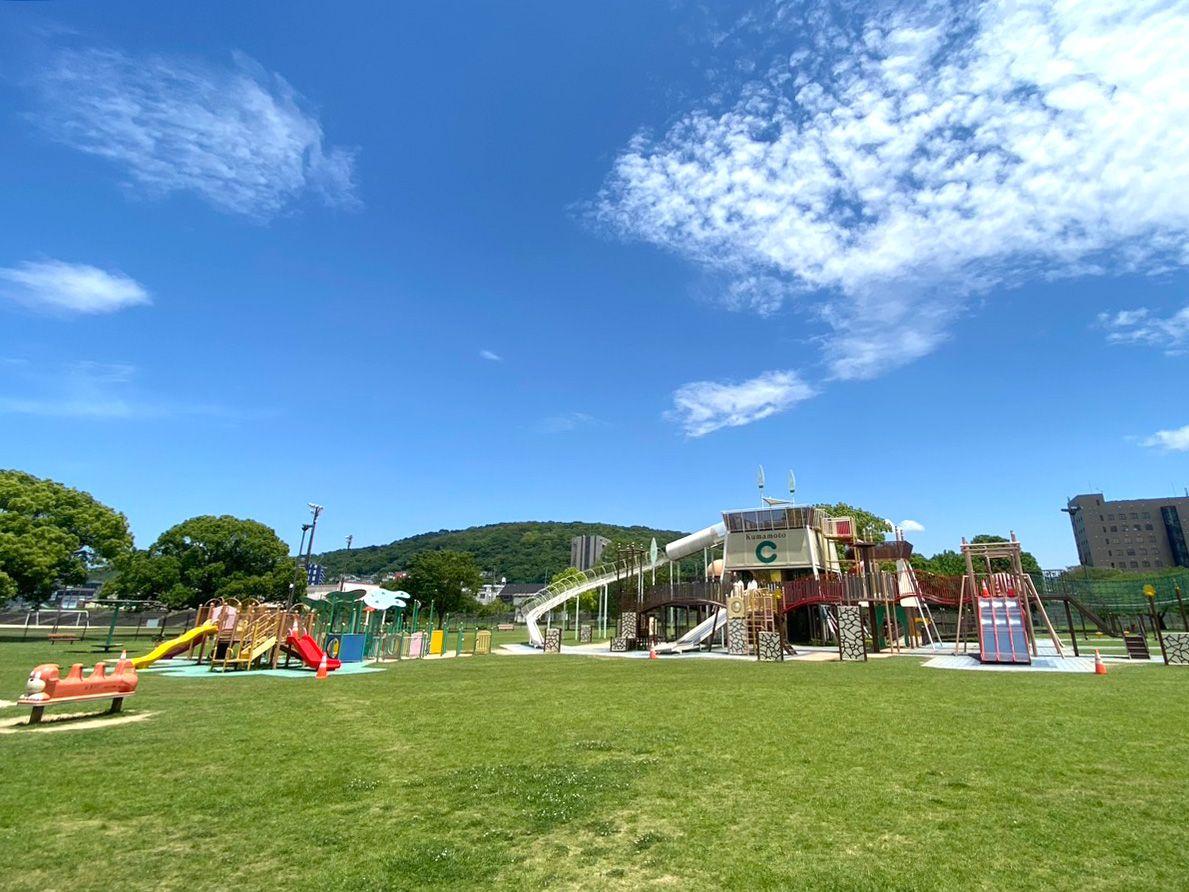 坪井川緑地の画像