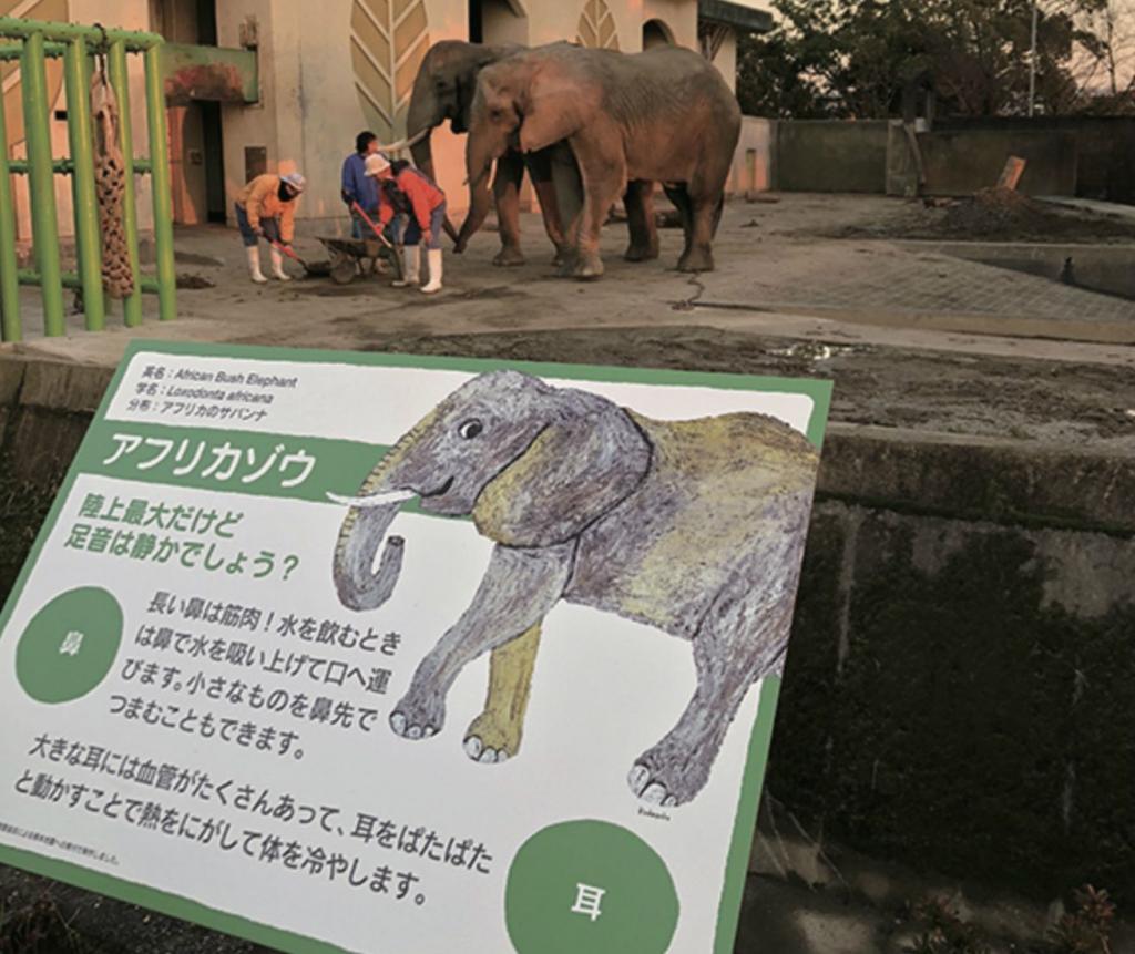 生まれ変わった 熊本市動植物園 へ行こう 公式 熊本県観光サイト もっと もーっと くまもっと