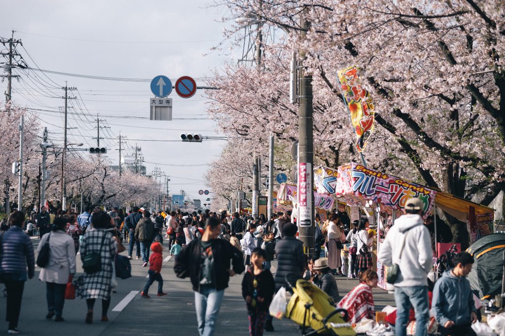 Cherry Blossom Festival on Jieitai-dori Avenue