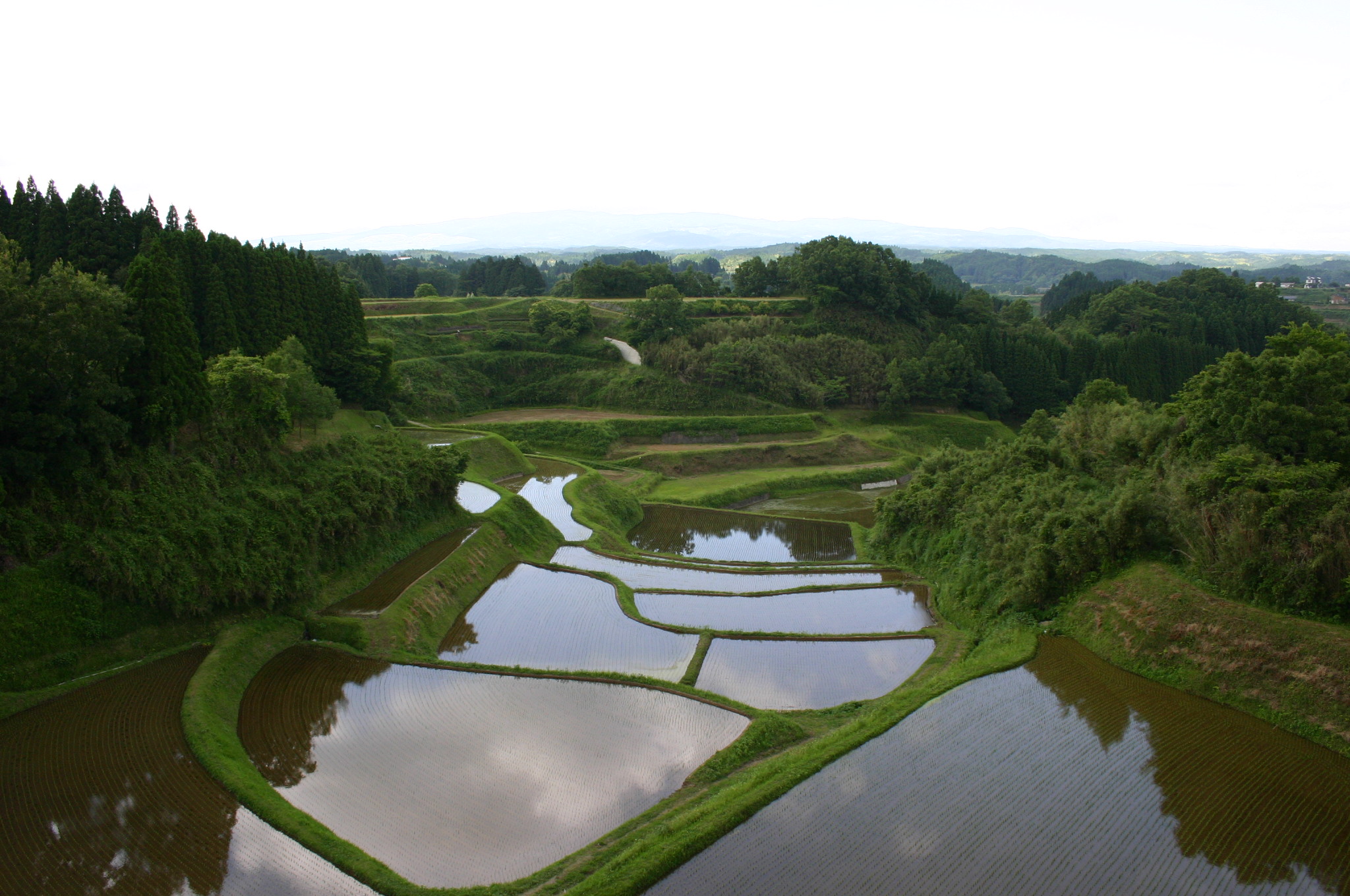 Terraced rice paddies of the Shiraito Plateau, Kumamoto