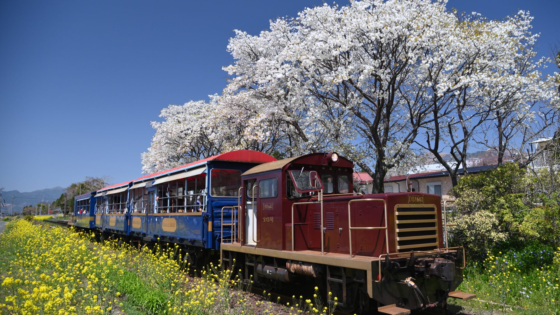 Sightseeing Train to Minami-Aso