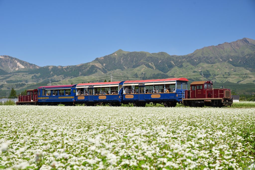 Minami-Aso Railway trolley train in the caldera landscape