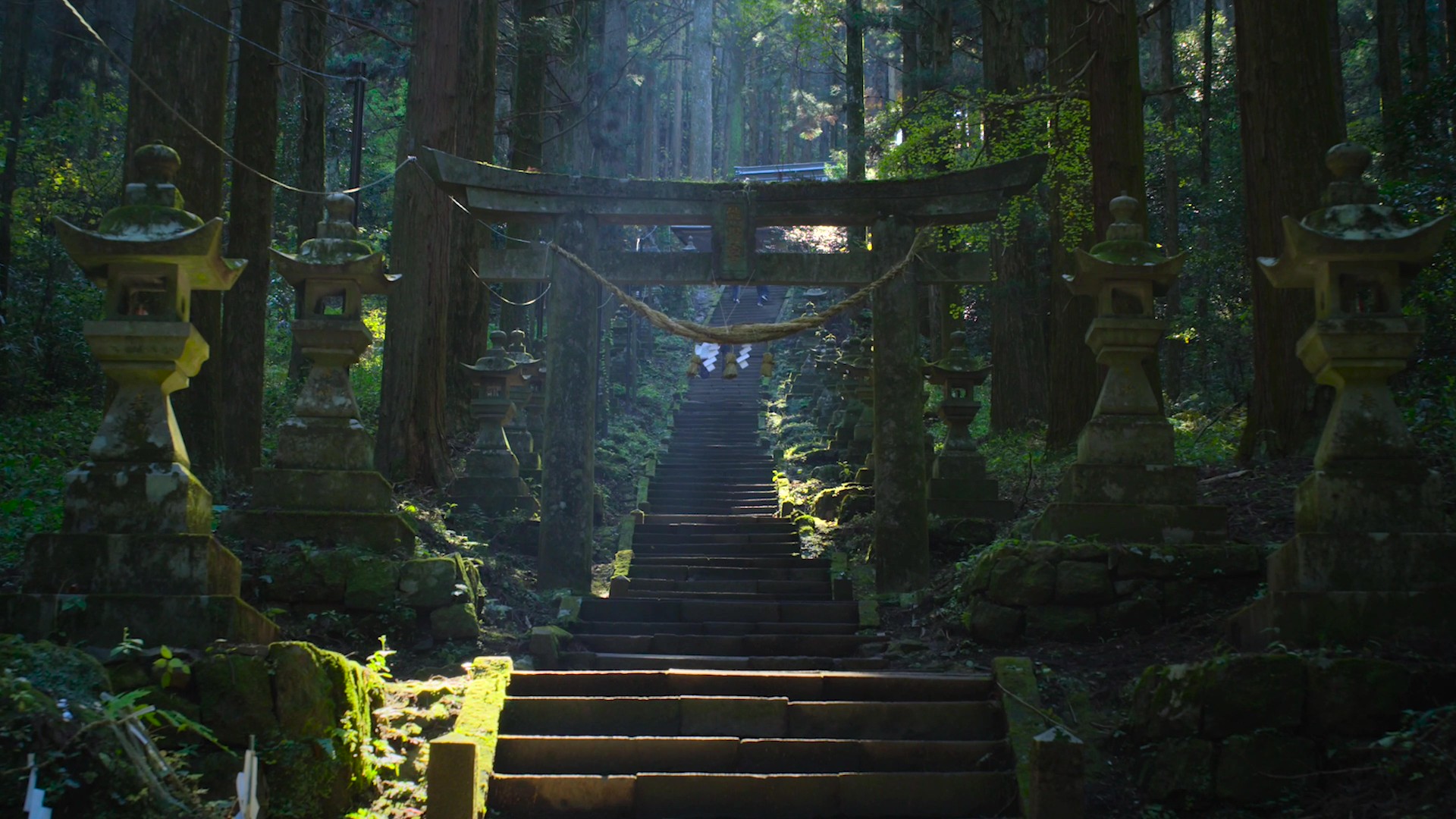 Kamishikimi Kumanoza Shrine moss-covered approach, Takamori