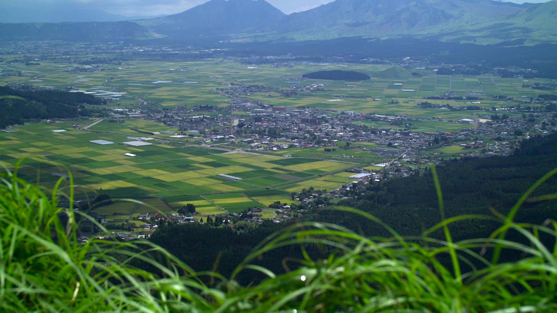 Fresh Kumamoto produce and rice