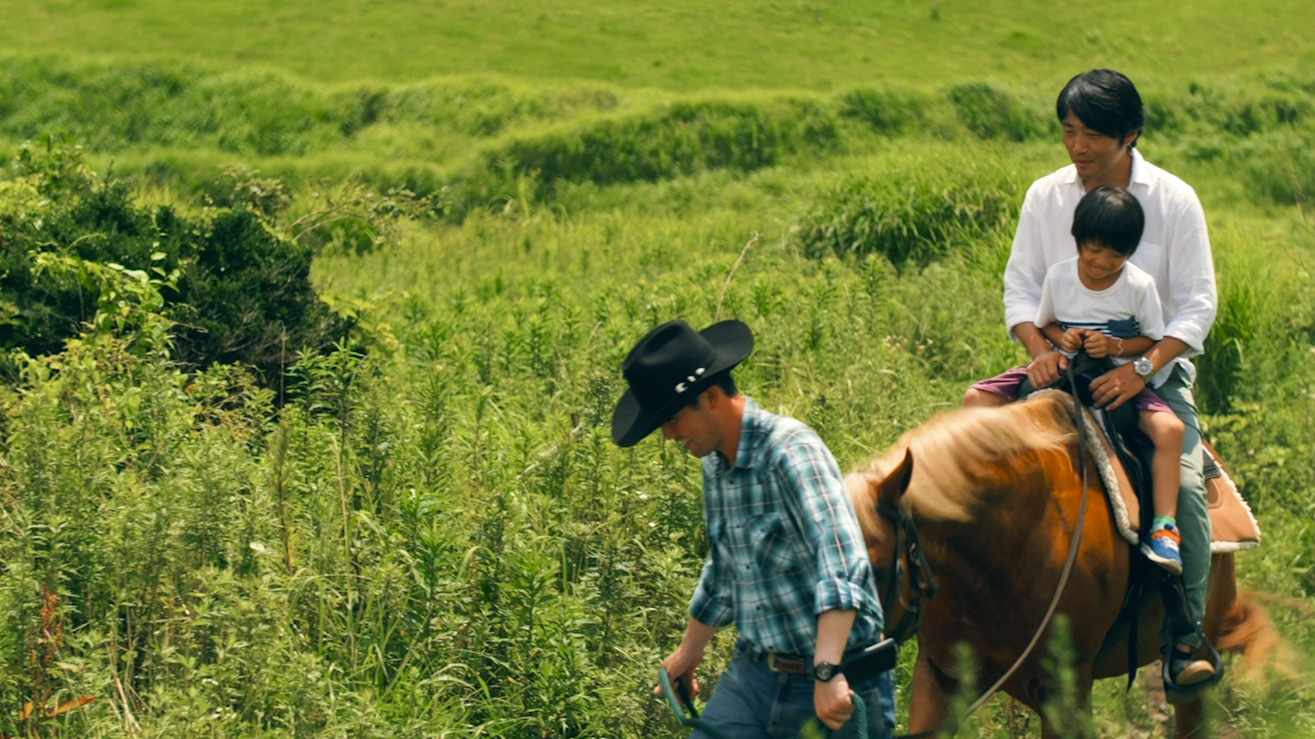Horseback riding on Aso grasslands