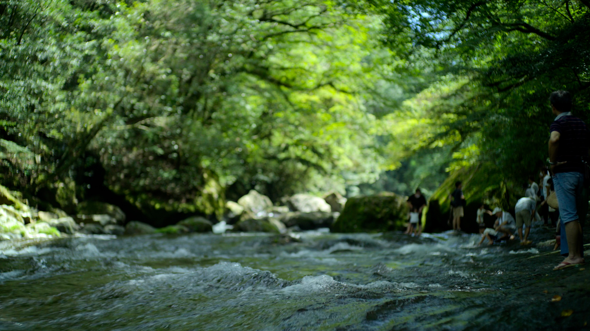 Clear streams and water spots in Kumamoto