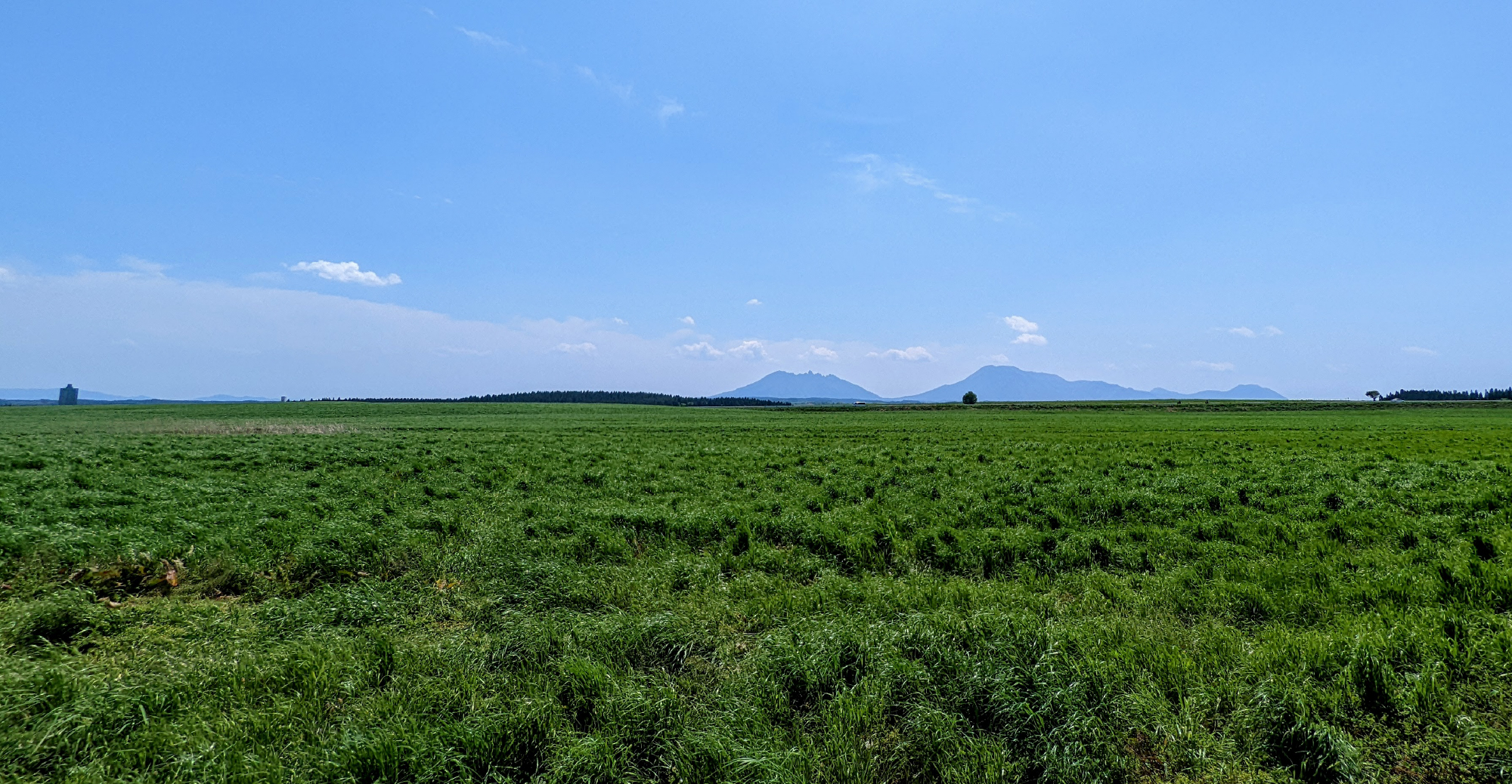 東風日和メインイメージ