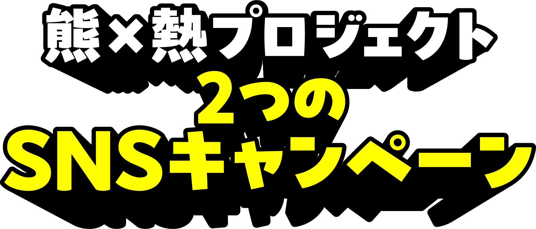 熊×熱プロジェクト2つのSNSキャンペーン