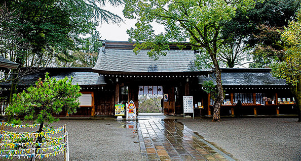 [cn] autumn.logs.log1.mv_alt