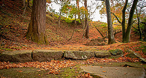 [cn] autumn.logs.log2.img1_alt