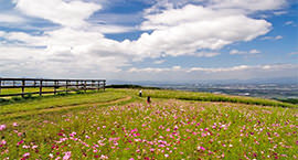 [cn] spring.logs.log1.mv_alt