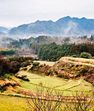 [cn] spring.logs.log2.img3_alt