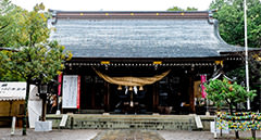 [cn] summer.logs.log1.img3_alt