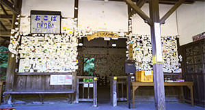 [cn] summer.logs.log2.img1_alt