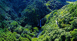 [en] autumn.logs.log2.mv_alt