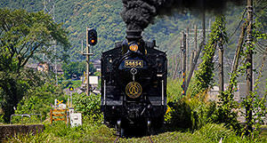 [en] autumn.logs.log2.img1_alt