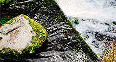 [en] spring.logs.log1.mv_alt