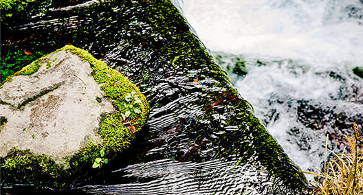 [en] spring.logs.log1.mv_alt