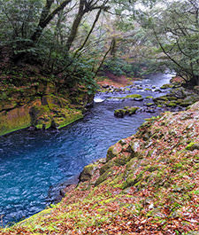 [en] spring.logs.log1.img1_alt