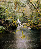 [en] spring.logs.log1.img2_alt