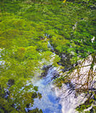 [en] spring.logs.log1.img3_alt