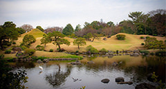 [en] summer.logs.log1.mv_alt