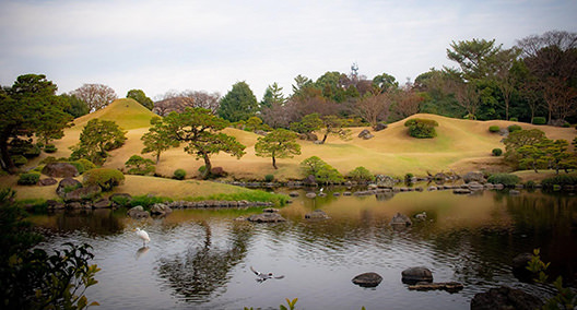 [en] summer.logs.log1.mv_alt