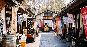 [en] winter.logs.log1.img1_alt