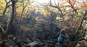 [jp] autumn.logs.log1.img1_alt