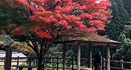 [jp] autumn.logs.log2.mv_alt