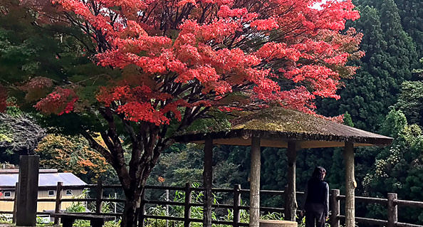 [jp] autumn.logs.log2.mv_alt