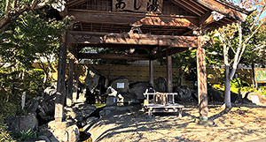 [jp] autumn.logs.log2.img1_alt