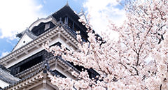 [jp] spring.logs.log2.mv_alt