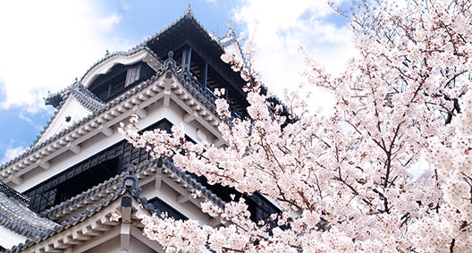 [jp] spring.logs.log2.mv_alt