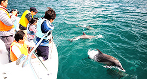 [jp] summer.logs.log1.img1_alt