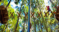 [jp] summer.logs.log2.mv_alt