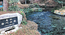 [jp] winter.logs.log1.mv_alt