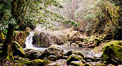 [kr] spring.logs.log2.mv_alt