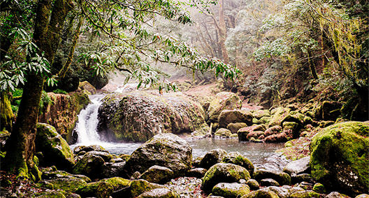 [kr] spring.logs.log2.mv_alt