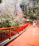 [kr] spring.logs.log2.img2_alt