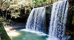 [kr] spring.logs.log2.img4_alt