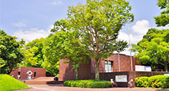 [kr] summer.logs.log2.mv_alt