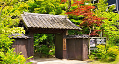 [kr] summer.logs.log2.img4_alt