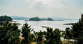 [kr] winter.logs.log2.mv_alt