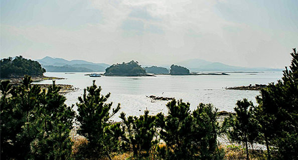 [kr] winter.logs.log2.mv_alt