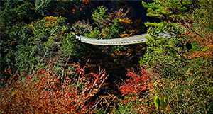 梅乃木轟公園吊橋